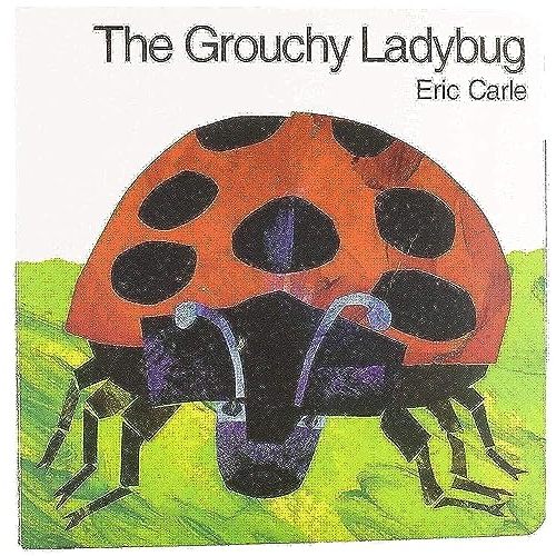 The Grouchy Ladybug