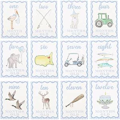 WAUAO Gingham Milestone Monthly Cards - My First Milestone Cards, Baby Shower Photo Props,Baby Milestone Monthly Memories,Boys/Girls Photo Props (blue)
