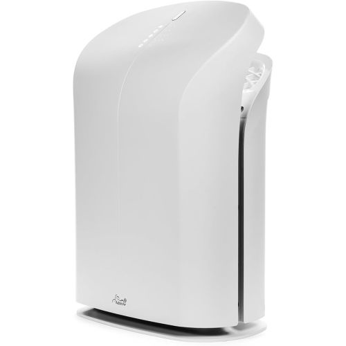Rabbit Air BioGS 2.0 Ultra Quiet HEPA Air Purifier (SPA-550A White)