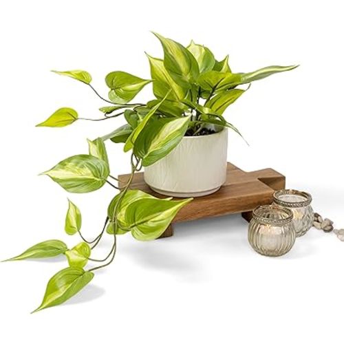 Kurrajong Farmhouse Light Green Fake pothos Plant | Fake Plant for Shelf Decor | Artificial Trailing Ivy Plant with 5" Wide Ceramic Pot | Faux pothos | Feaux Pothos