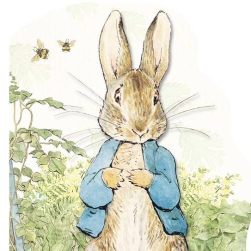 Peter Rabbit Large Shaped Board Book