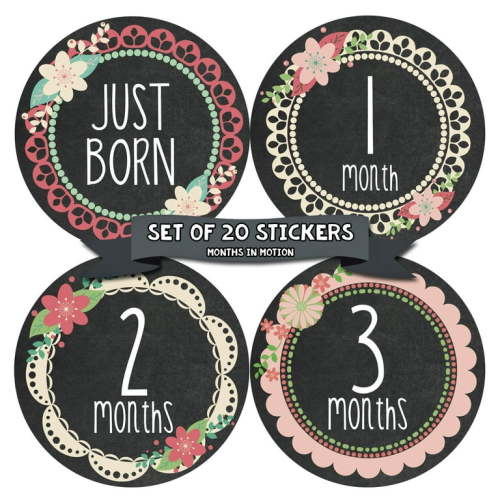 Baby Monthly Milestone Stickers - First Year Set of Baby Girl Month  Stickers for Photo Keepsakes - Shower Gift - Set of 20