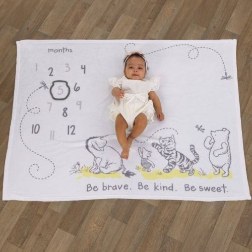 Disney Baby Classic Pooh Milestone Blanket