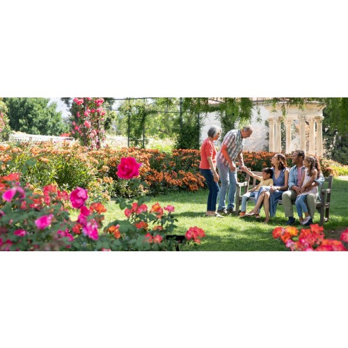 Membership | The Huntington Botanical Gardens