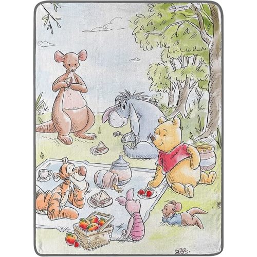 Northwest Winnie The Pooh Micro Raschel Throw Blanket, 46" x 60", Friend Picnic