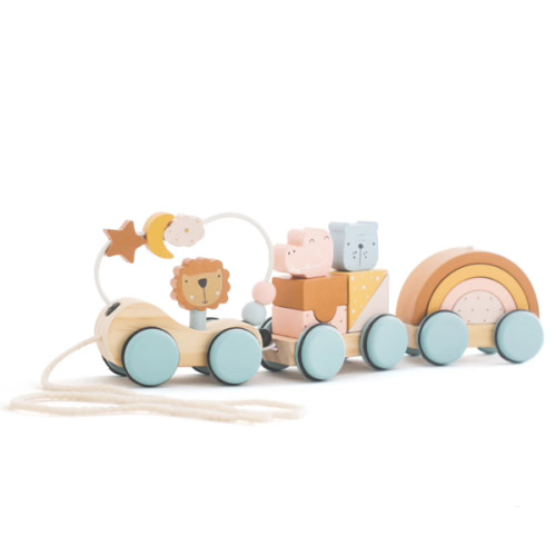 Wooden Pull Along Animal Block Train Set