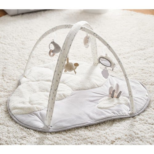 Skip Hop x pbk Baby Activity Gym | Pottery Barn Kids