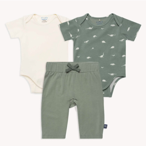 jurassic jungle cloudstretch™ magnetic bodysuit + pant | 3 set – Magnetic Me