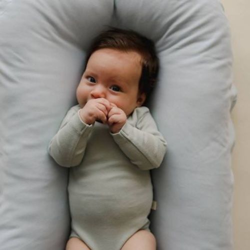 Snuggle Me Organic Cover - Bluebell