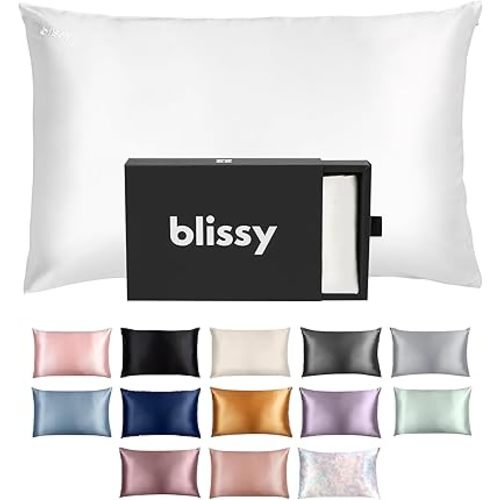 Blissy Silk Pillowcase - 100% Pure Mulberry Silk - 22 Momme 6A High-Grade Fibers - Pillow Cover for Hair & Skin - Regular, Queen & King with Hidden Zipper (Standard,Blissy White)