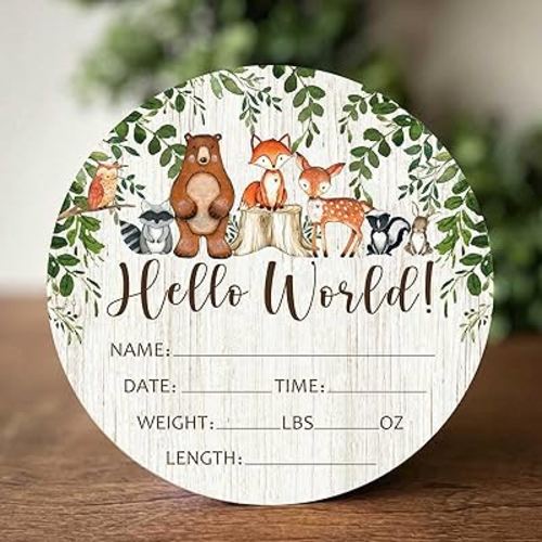 Birth Stat Sign for Newborn, Woodland Animals Baby Announcement, Forest Hello World Name Sign for Hospital Birth Announcement, Gift for New Mom, Baby Shower, Pregnancy Announcement, Photography Prop