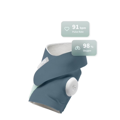 Bedtime Blue Fabric Sock – Owlet US