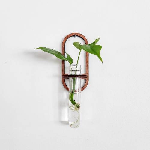 Wall Propagation Station - Modern Minimalist Design - Oval Hydroponic Hanging Wood Test Tube Holder for Propagating Plant Cuttings in Water