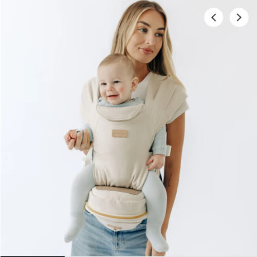 2-in-1 Convertible Carrier