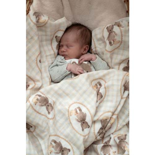 Ted & Duck Swaddle