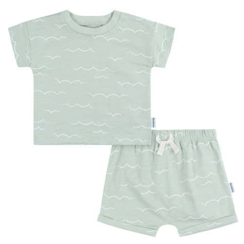 Gerber Baby Boy Matching Top and Short, 2-Piece Set (3-24 Months)
