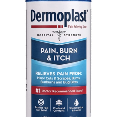  Dermoplast Pain, Burn & Itch Relief Spray for Minor Cuts, Burns  and Bug Bites, 2.75 Oz, Pack of 2 (Packaging May Vary) : Health & Household