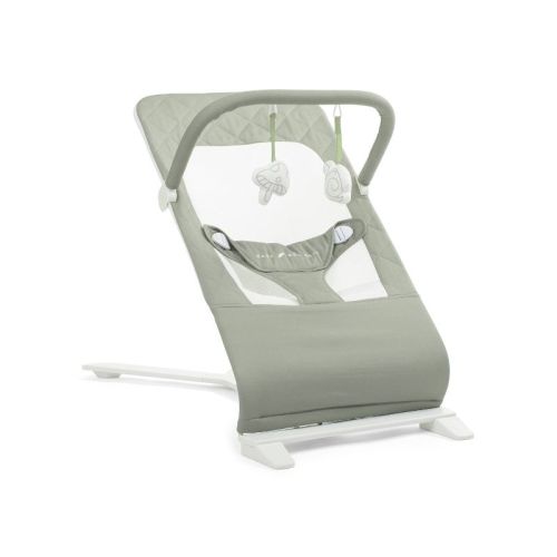 Baby Delight Alpine Organic Deluxe Portable Bouncer - Mocha