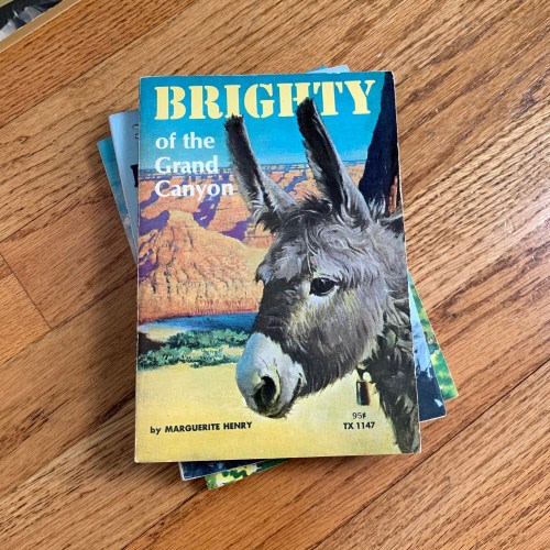 Vintage 1972 Brighty of the Grand Canyon by Marguerite Henry - Real Donkey's Adventure Story - Scholastic Paperback