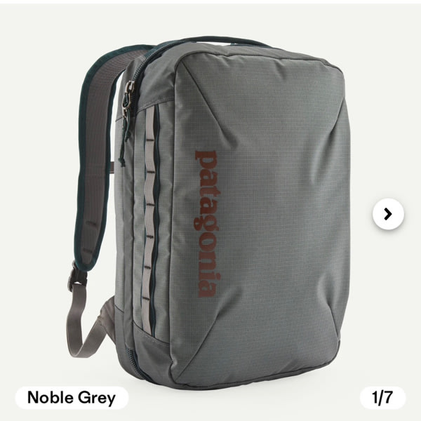Patagonia Black Hole® Micro MLC® Carry-On Backpack 22L