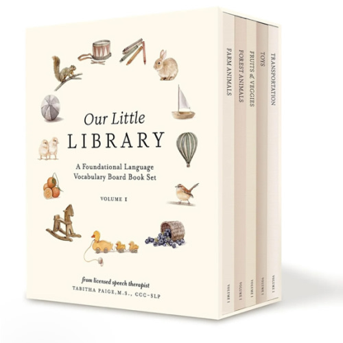 Book Set of 5 - Our Little Library