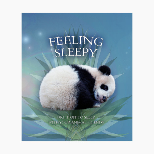A Firefly Book Feeling Sleepy, A Touch & Feel Board Book