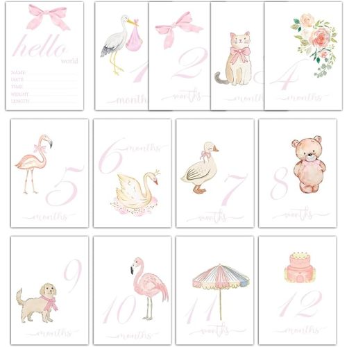 Watercolor Monthly Milestone Signs, Baby Milestone Cards, Monthly Photos Pictures Newborn Photography Prop,13 PCS Baby First Holiday Cards Pregnancy Journey Birth Announcement Sign(Bow Stork Bunny)-04