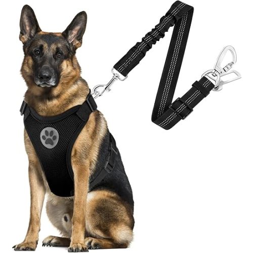 SlowTon Dog Seat Belt Harness for Car, Dog Car Harness Adjustable Mesh Breathable & Dog Seatbelt Safety Tether with Elastic Bungee for Small Medium Large Pets(Black, Double Clip, L)