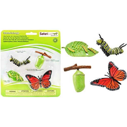 Safari Ltd Life Cycle of a Monarch Butterfly