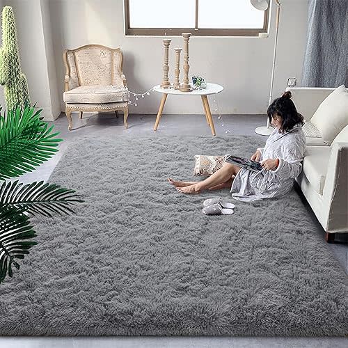 DweIke Fluffy Grey Rugs for Bedroom Living Room, 3x5 Feet Soft Plush Shaggy Light Gray Girls Boys Kids Rug, Non-Slip and Machine Washable Carpet for Dorm Nursery Classroom Decor