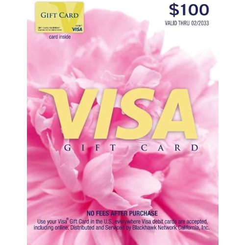 Visa $100 Gift Card (plus $5.95 Purchase Fee)