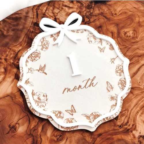 Baby Month Milestone Girl Baby Milestone Card Baby Girl Nursery Decor Personalized Baby Milestone Marker Gift Baby Girl Milestone Sign Bow