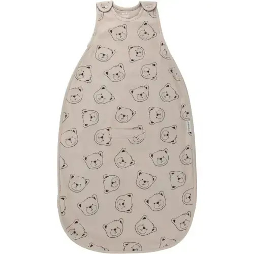 Baby Sleep Bag, Teddy Bear