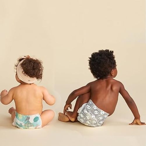 The Honest Company Clean Conscious Diapers | Plant-Based, Sustainable | Above It All + Pandas | Club Box, Size Newborn, 72 Count