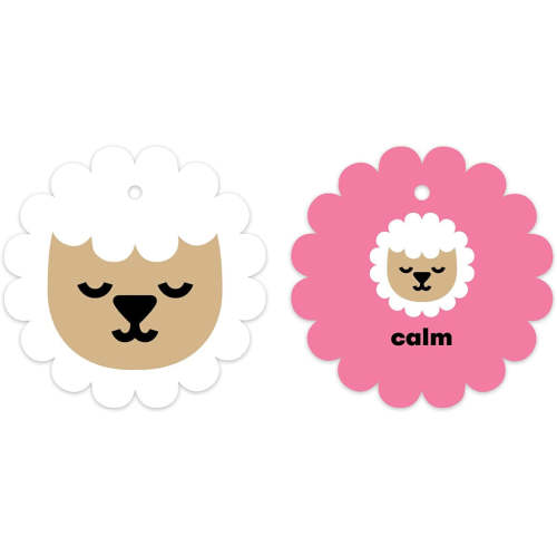 How Are You Feeling Shaped Ring Flash Cards by Mudpuppy – Mochi Kids