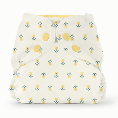 Outer–FW Buds / One