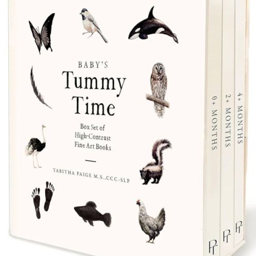 Baby's Tummy Time Book Box Set: A 3-Book Box Set of High-Contrast Art for Visual Stimulation at Tummy Time (Our Little Adventures Series)