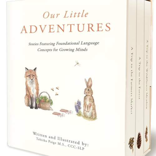 Our Little Adventures: Stories Featuring Foundational Language Concepts for Growing Minds (Our Little Adventures Series)