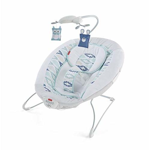 Fisher-Price Woodsy Wonders Deluxe Bouncer, portable infant seat with music and soothing vibrations [Amazon Exclusive]