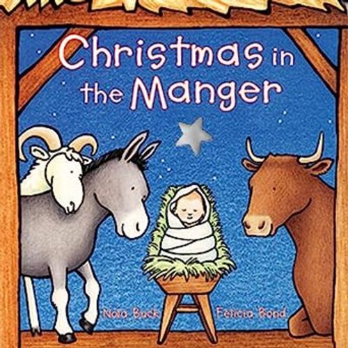 Christmas in the Manger