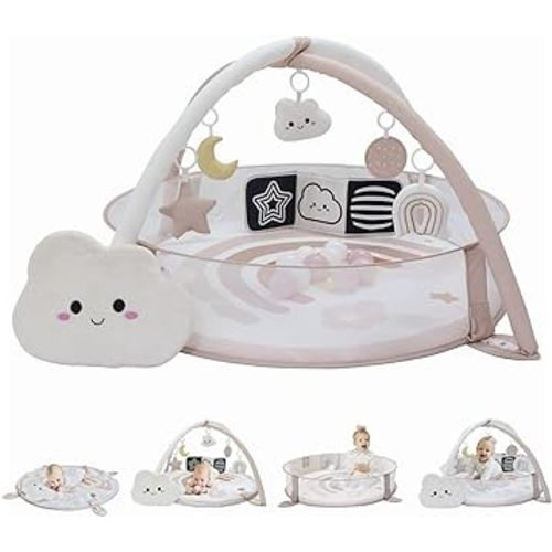 6-in-1 XL Play Mat & Play Gym, Baby Gym, Baby Activity Gym, Sensory Exploration and Motor Skill Development Toys (Blush)