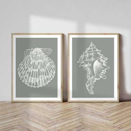 Coastal Print Set, Modern Coastal Art, Seashell Print in Sage Green, Beach Wall Art, Beach Prints, Coastal Home Decor, bathroom wall art