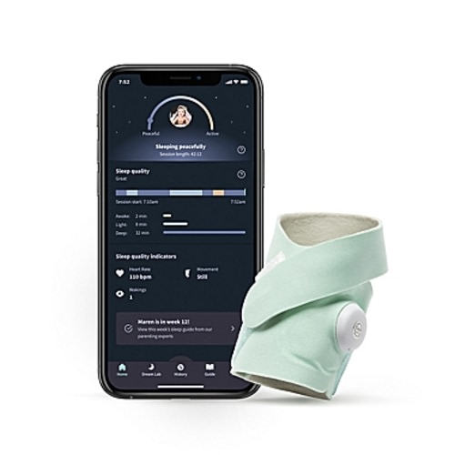 Owlet® Dream Sock Baby Monitor in  - Mint