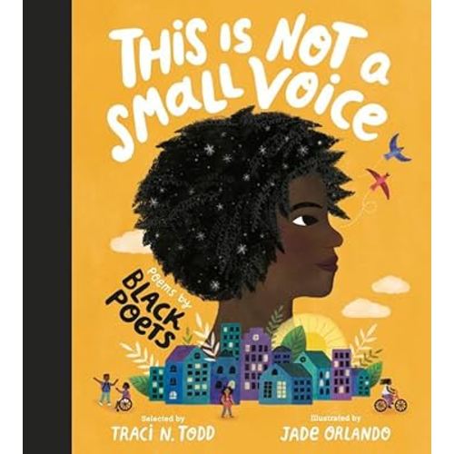 This Is Not A Small Voice: Poems by Black Poets