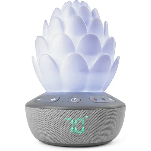 Skip Hop Baby Sound Machine, Cry Activated, Succulent Glow Soother, Grey White