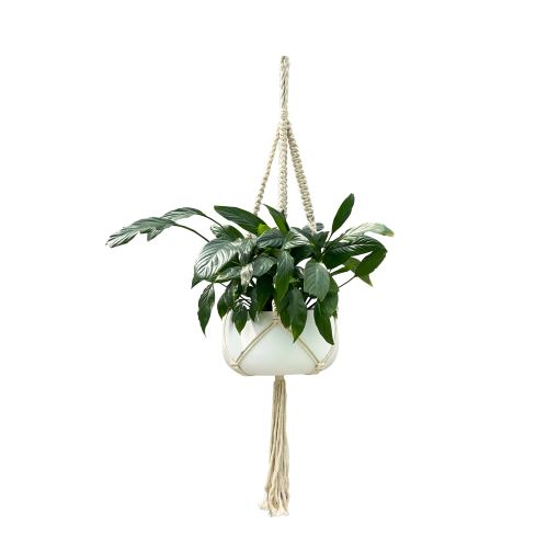 allen + roth 43-in White Macrame Plant hook(s)