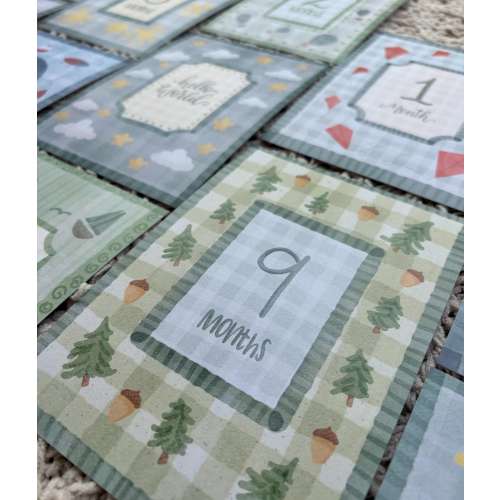 Baby Boy Milestone Cards – 12 Month Vintage Style Monthly Photo Prop Set – Classic Boy Nursery Decor