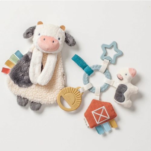 Baby Gift Set - Unique & Fun with Itzy Ritzy's Bitzy Busy Gift Set