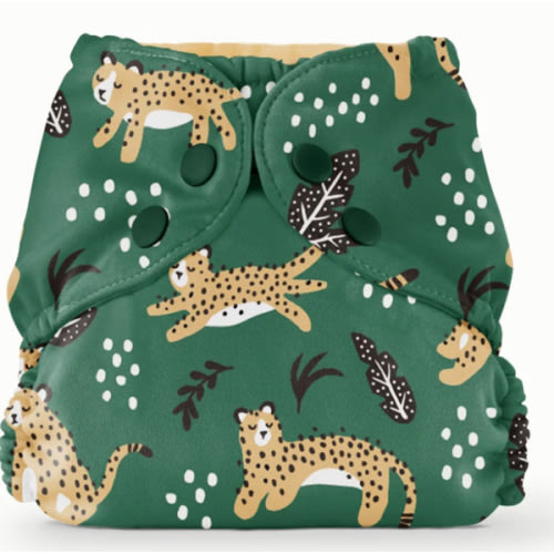 Outer–WWF Wildcats / Two