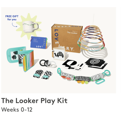 Lovevery Play Kits (subscription)